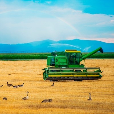 Agricultural Adjuvants